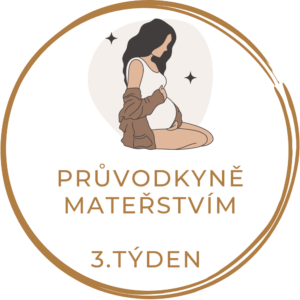 3.týden