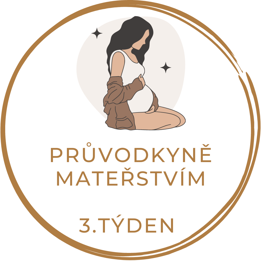 3.týden