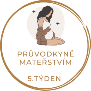 5.týden